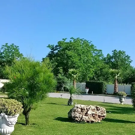 Ginevra