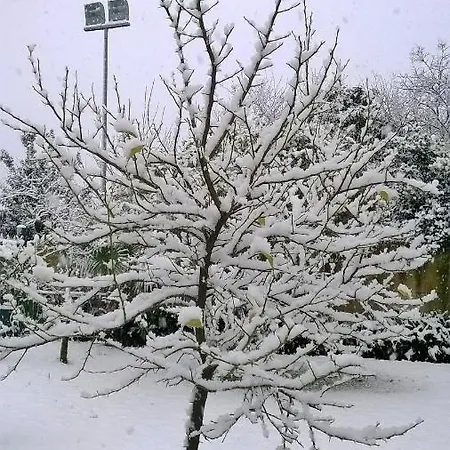 Ginevra 3* Poggiomarino